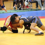 第33回神奈川県少年少女レスリング選手権大会結果(2)