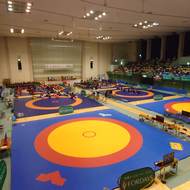 【大会結果】第40回東日本少年少女レスリング選手権大会(1)